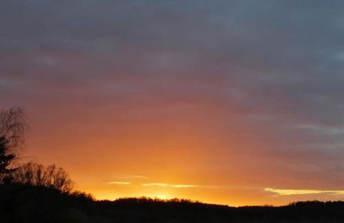 Tiny Haus am Motzener See - Foto 20