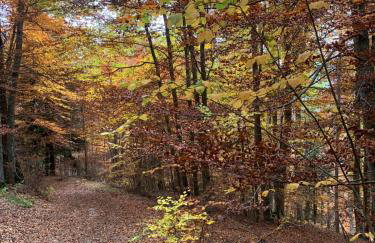 Les Serintes - Foto 7