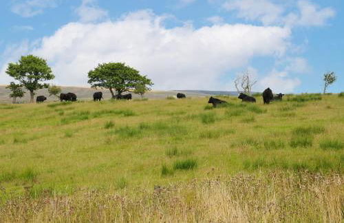 Bowland Barn - Foto 40