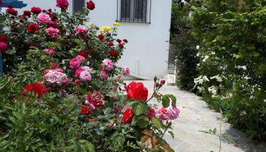 Roula's Studios - Foto 3