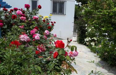 Roula's Studios - Foto 3