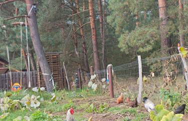 Tiny House am Waldrand - Foto 22