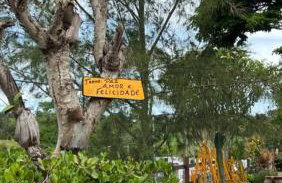 Nega Joana - Foto 33