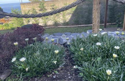 Casas das Hortas, Apartamento Vista Mar - Foto 26