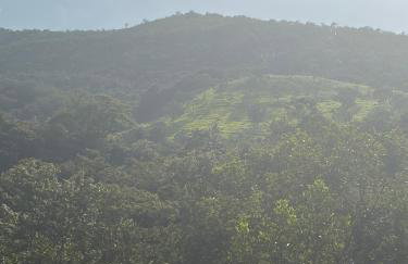 Sitio Bela Vista - Foto 14