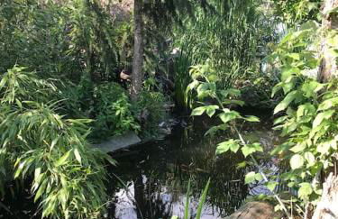 Unser Studio-Apartment "Wohlfühloase" - Foto 25