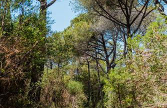 Villa Bolgherello - Foto 98