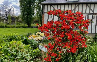 Cottage 4 chambres avec cheminée - Foto 32