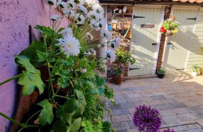 Bluebird Cottage - Foto 27