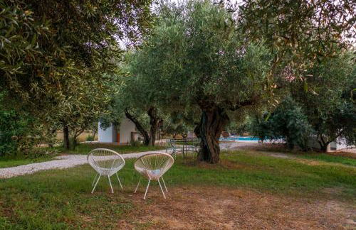 Armandiola - Foto 12