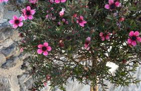 Casa vacacional Escuela la Llera - Foto 4