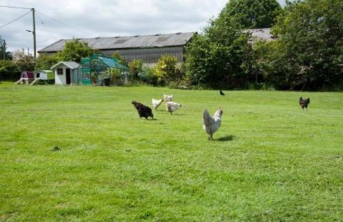 Padley Farm - Foto 50