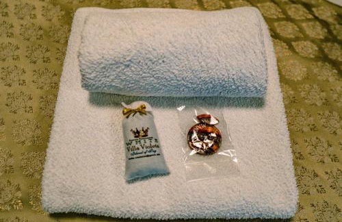 Luxury Apartments White Villa Violeta - Photo 41