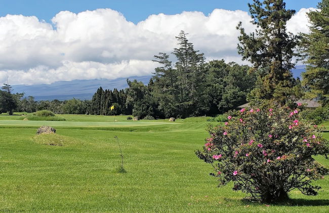 Ferns & Frogs Forest Hale 3 Bedroom Home by RedAwning - Foto 23