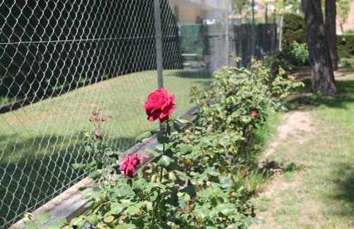 Beach & Flowers Free Parking - Foto 15