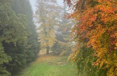 Grüne Villa - Foto 51