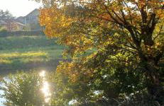 Fowo- Mangfalltal Italy Stopover near Motorway - Foto 14