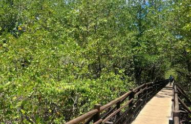 Beira mar porto de pedras rota dos milagres - Foto 53