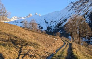 Le refuge de Marius - logement de colpoteur - Foto 10