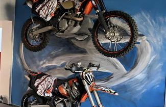 Deluxe Loft Hegau Bodensee - Foto 6