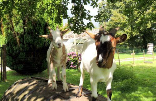 Bienvenue à La Sélinière ! - Foto 24