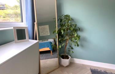 Little Chi - Photo 16