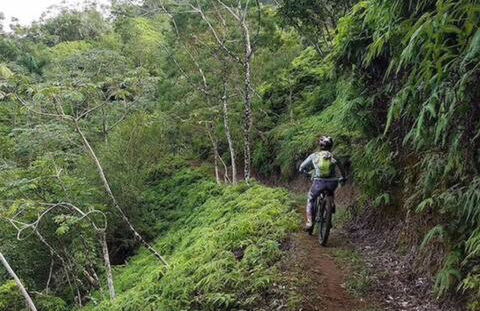 North Shore Garden Suite - Foto 16