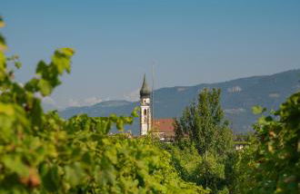 Gutshof Ebner - Foto 61