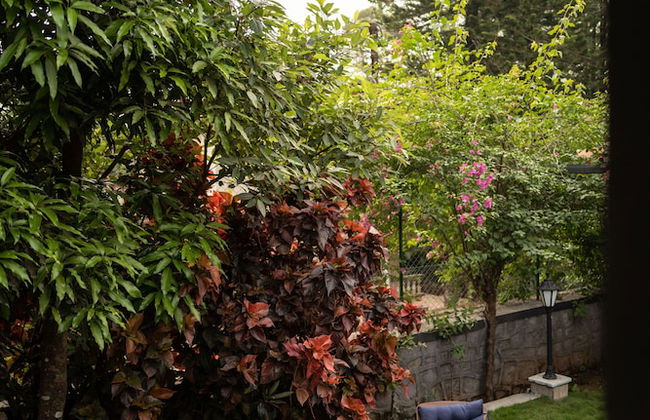 Dulwich Park View, Panchgani - Amã Stays & Trails - Foto 5