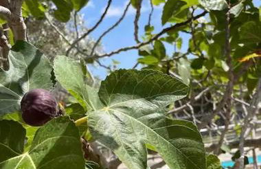 Maison de Rêve avec Piscine Privative et Vue sur Mer - Proche Barcelone et Port Aventura - Foto 21