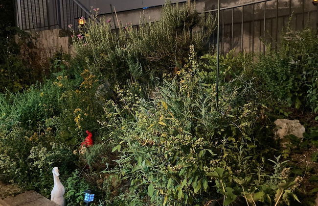 Apartment in Mauerbach Near Vienna With Pool - Foto 36