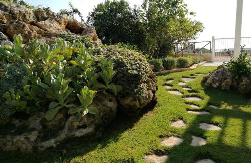 La scogliera - Foto 22