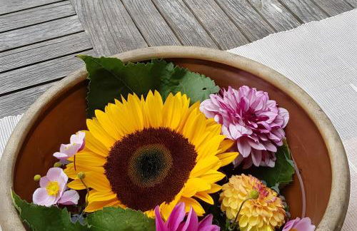 Ferienwohnungen Warnken - Foto 25