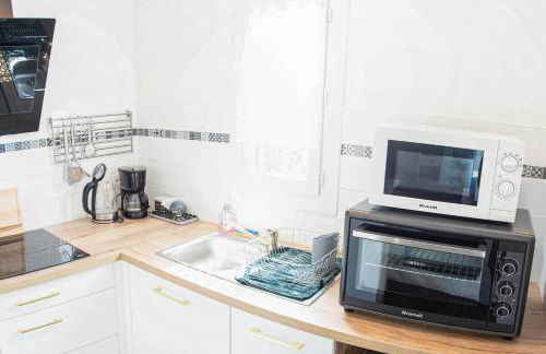 Le colibri - Photo 4