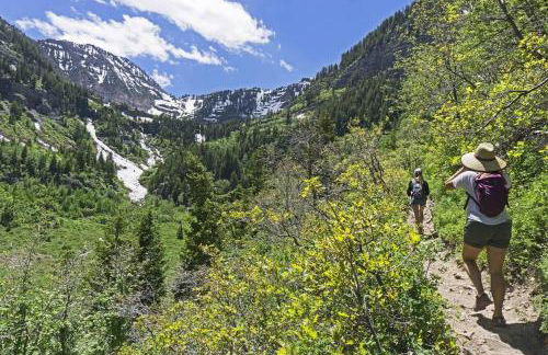 Lady Madonna Sage Flat - Foto 6