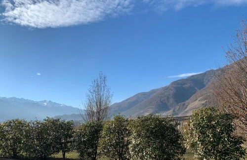 IL COMO' DELLA CIVETTA - Nido della Civetta - Foto 10