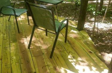 Radiant Forest Vacation Rental Haven Near Piney River, Tennessee - Foto 27