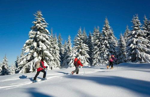 Appartments Neuhof - Photo 55