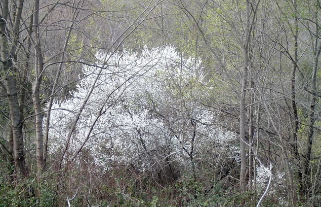 Agriturismo le Cammarose - Photo 22