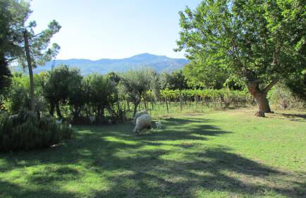 Agriturismo "Borgo Madonna degli Angeli" - charming cottages in the gardens ! - Foto 74