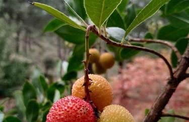 El Rincón de María. - Foto 29