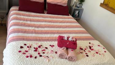 Studio proche Beauval et Châteaux de la Loire - Photo 5