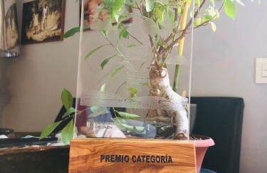 La Casa del Alfarero - Mejor Villa Sostenible de Europa - Foto 50