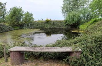 Galeriehaus "Bootsmann" - Photo 19