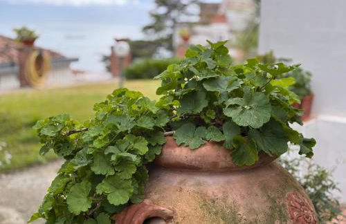 Villa San Vito Amalfi Coast A timeless charm - Foto 14