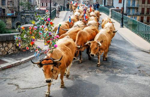 Appart T2 Village vacance 3 étoiles St Geniez d'Olt 2 piscines chauffées 75 - Photo 38