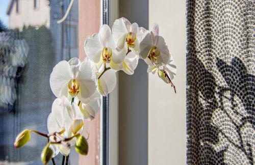 Spacious Stay in Lemberg - Foto 78