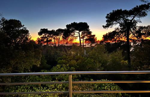 Bista Eder - Foto 48