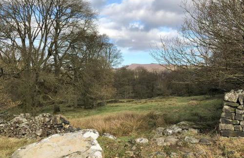 The Long Hall 2 bed ground floor annexed apartment - sleeps 6 - Foto 34