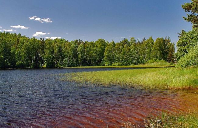 Holiday Home With Private Sauna, Jacuzzi and Pool - Photo 39